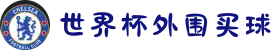 世界杯外围买球 - 外围玩法与盘口解析 - 2026世界杯